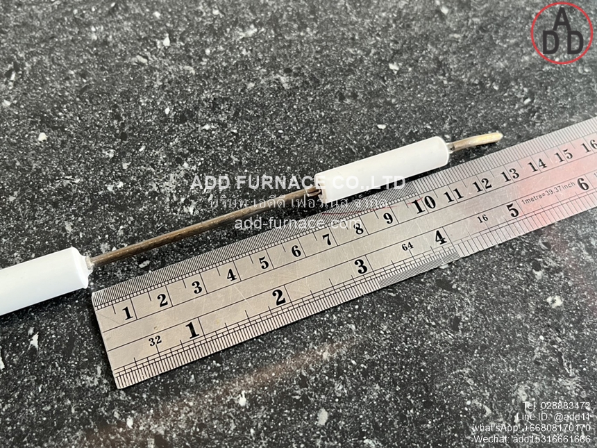 Riello Electrode 3005593(8)